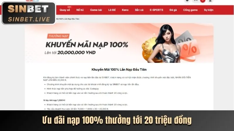 Minh họa cài đặt quản lý cookie